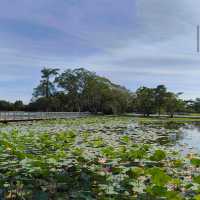 Cyberjaya Lake Gardens