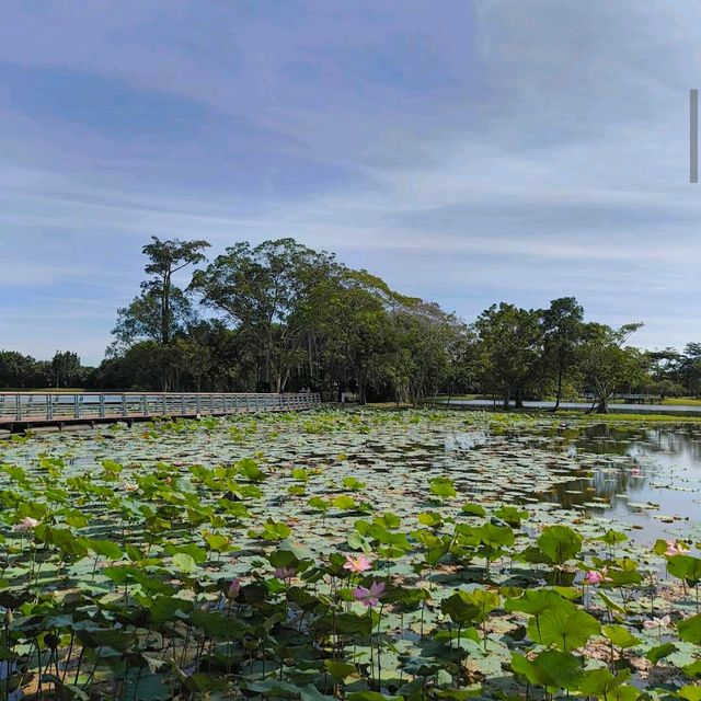 Cyberjaya Lake Gardens