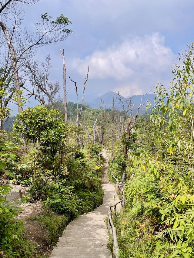 🇮🇩 Kawah Putih: A Beautiful Crater 🇮🇩 Kawah Putih: A Beautiful Crater