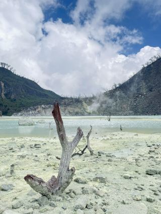 Kawah Putih：美麗的火山口