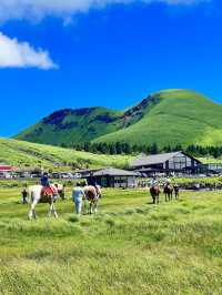 Escape to Aso 🌿 Stunning Grasslands