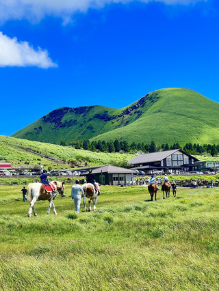 Escape to Aso 🌿 Stunning Grasslands 