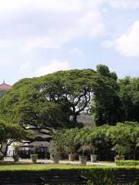Manila Cathedral – A Timeless Landmark⛪️
