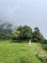 Horseback Through the Clouds: Cocora Valley’s Magical Wax Palms