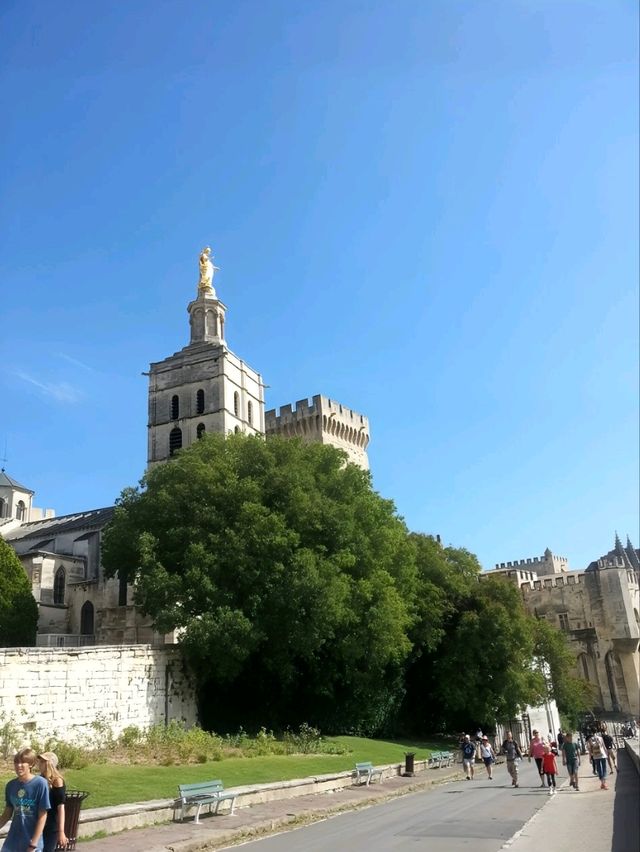 【フランス】アヴィニョン　法王庁宮殿(教皇庁)と大聖堂