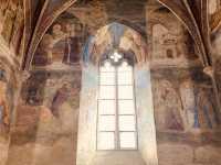 A Solo Journey Through Time: Exploring the Palais des Papes in Avignon