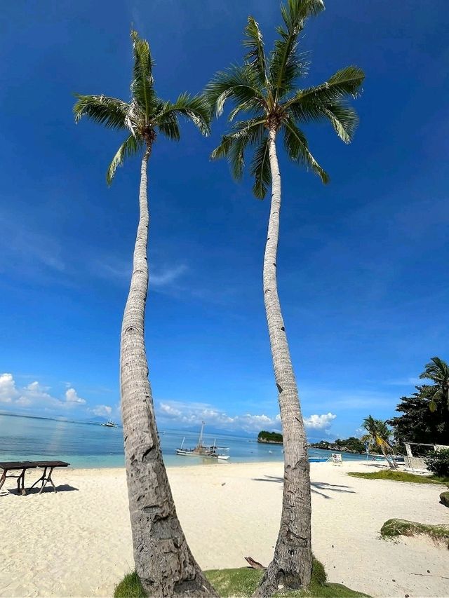 Malapascua Island: Cebu’s Tropical Treasure