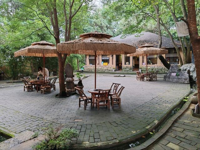 Fengyang Tea House: A Cultural Experience of Dali’s "Three-Course Tea" Fengyang Tea House: A Cultural Experience of Dali’s "Three-Course Tea"