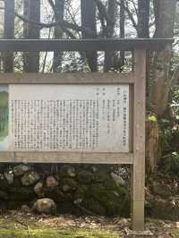 白山神社：心靈的碧綠聖地