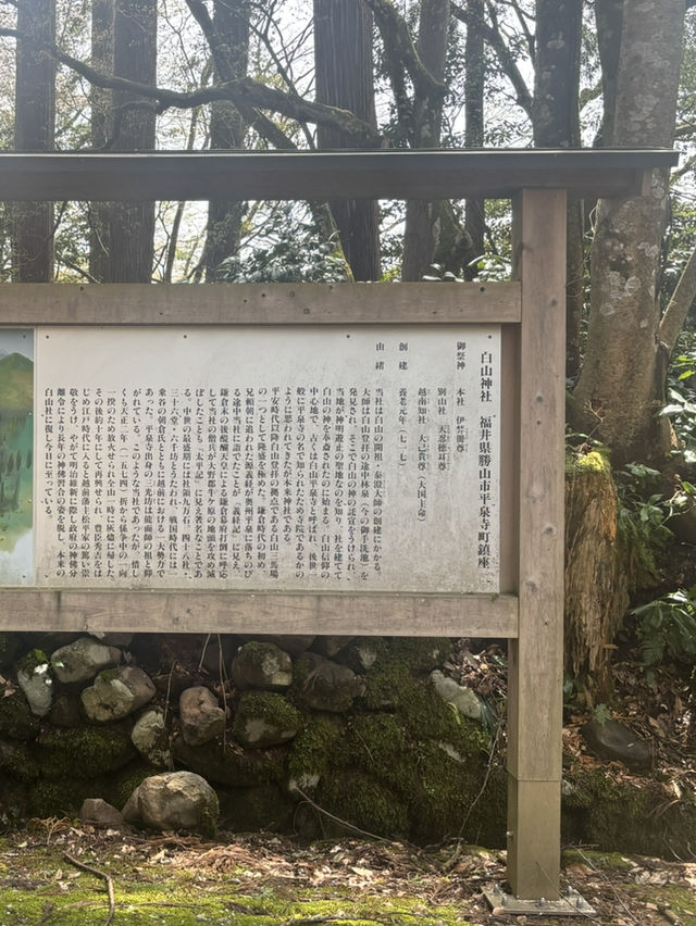 白山神社：心靈的碧綠聖地