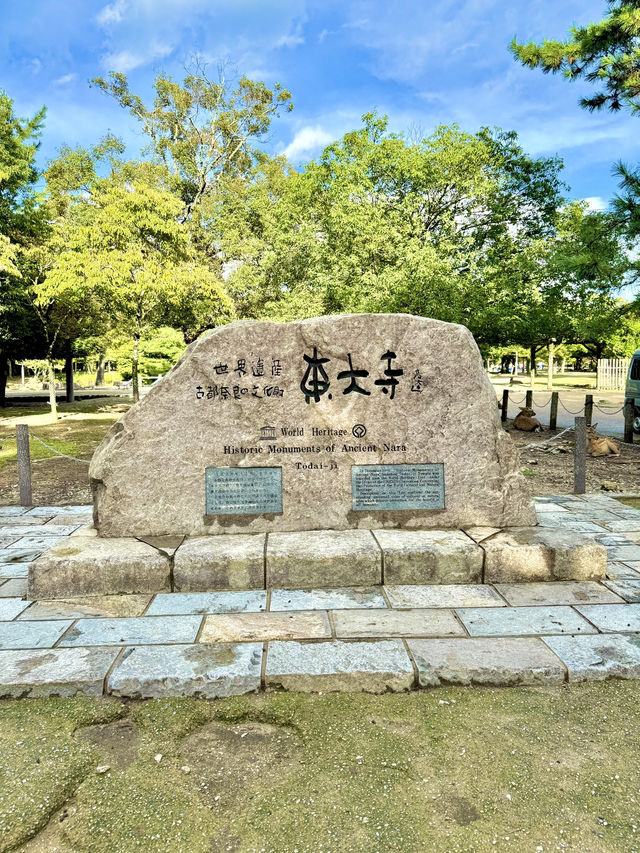 🏯 교토 근교 나라 도다이지(東大寺) 여행 가이드