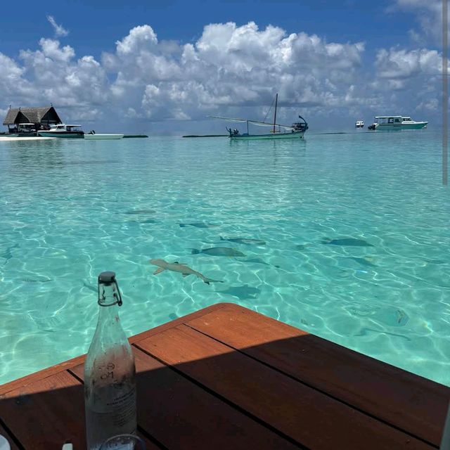 Constance Moofushi