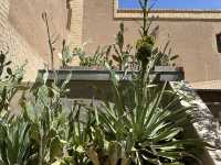 🌟 Sarv Restaurant – Near the Fire Temple, Yazd 