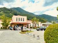 🚉「一座小站，卻能框住最完美的富士山。」