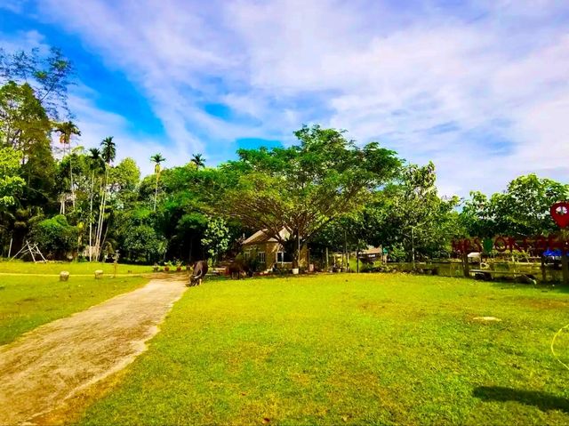鄉村田園體驗：美蘇克農場（Mesook Farm）