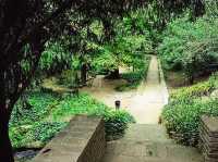 巴塞隆納 | Jardi Botanic Historic，城市裡的秘境小花園