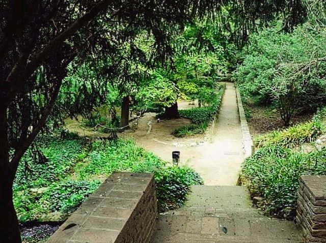 巴塞隆納 | Jardi Botanic Historic，城市裡的秘境小花園