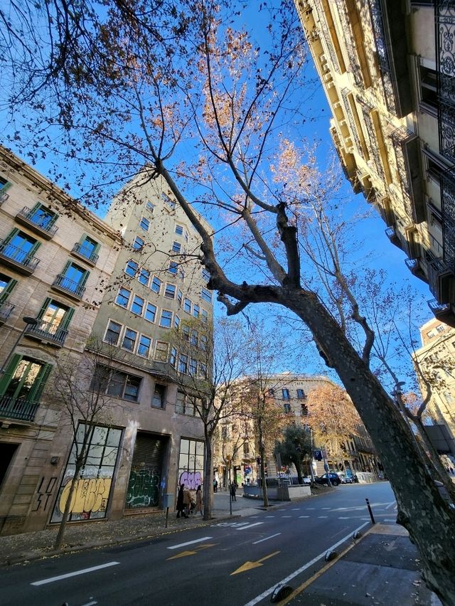 Getting lost in the magic of Barcelona’s streets. 🌆✨
