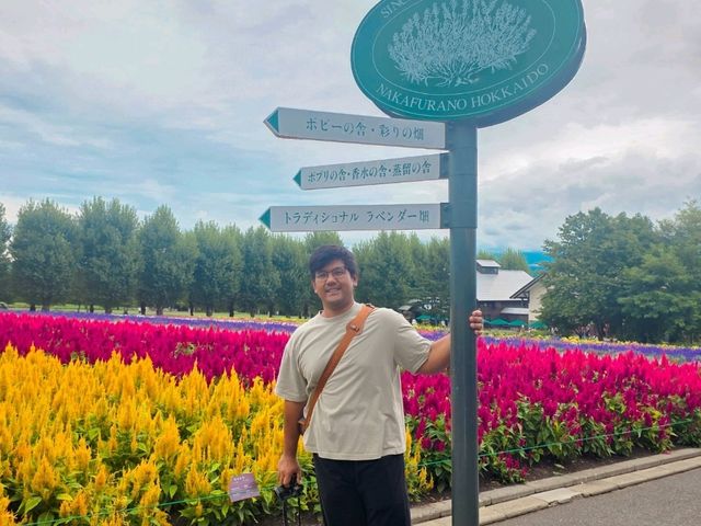 Farm Tomita Hokkaido