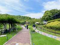 【京都】写真より遥かに絶景だった！天橋立！！