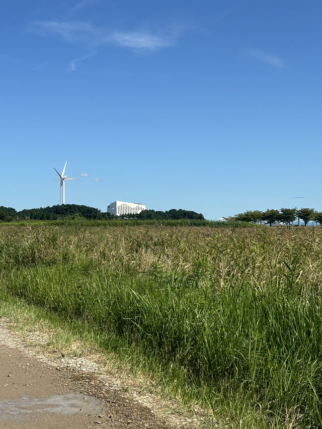 마라톤 데이트 마라톤 데이트