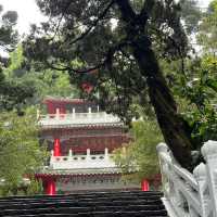 🌸⛰️ Yangming Park – The Heart of Yangmingshan 🌳✨