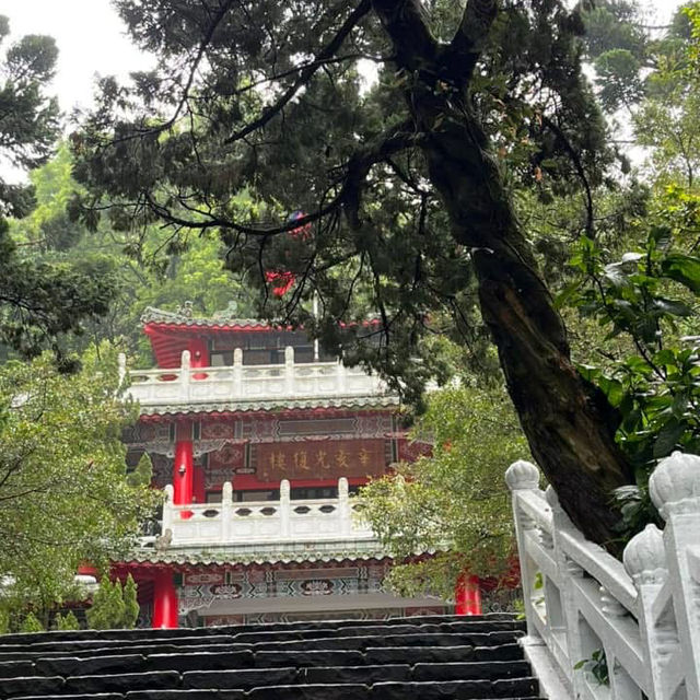 🌸⛰️ Yangming Park – The Heart of Yangmingshan 🌳✨