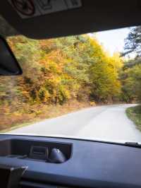 Not just cars on the road