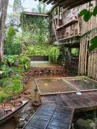 🌳✨ บ้านไร่ไออรุณ – สวรรค์เล็ก ๆ กลางหุบเขา ระนอง
