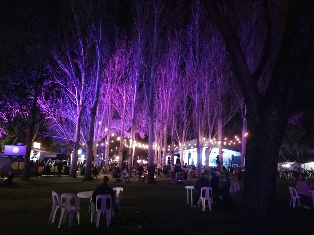 🌹Floriade Nightfest🌹