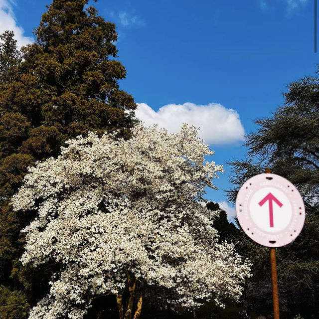 Arboretum Kalmthout