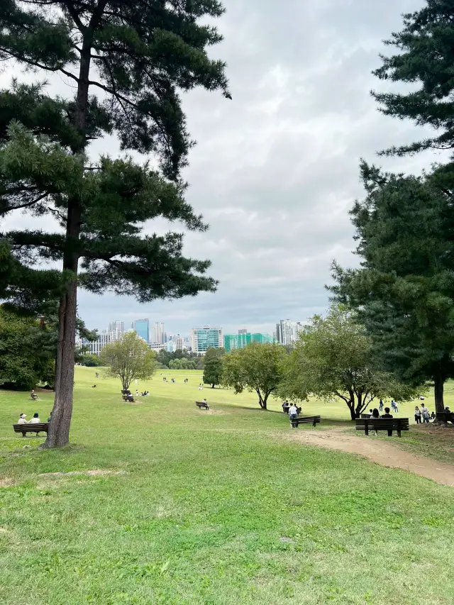 適合休息的奧林匹克公園