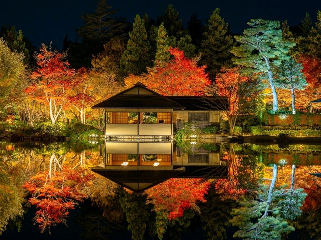 夜まで楽しめる🌃✨東京紅葉スポット 夜まで楽しめる🌃✨東京紅葉スポット