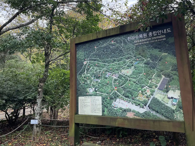 Halla Arboretum, Jeju Island,S.Korea