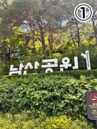 【韓国旅行】 どこいくべきか迷っている人必見！！
