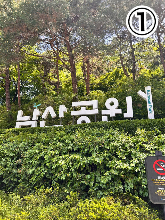 【韓国旅行】 どこいくべきか迷っている人必見！！