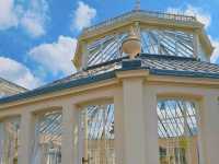 어여쁜 수련이 가득한🌺 영국 큐가든 워터릴리 하우스