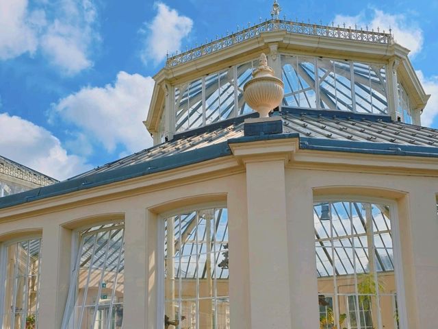 어여쁜 수련이 가득한🌺 영국 큐가든 워터릴리 하우스