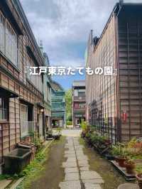 【小金井】ジブリの世界に没入🎥