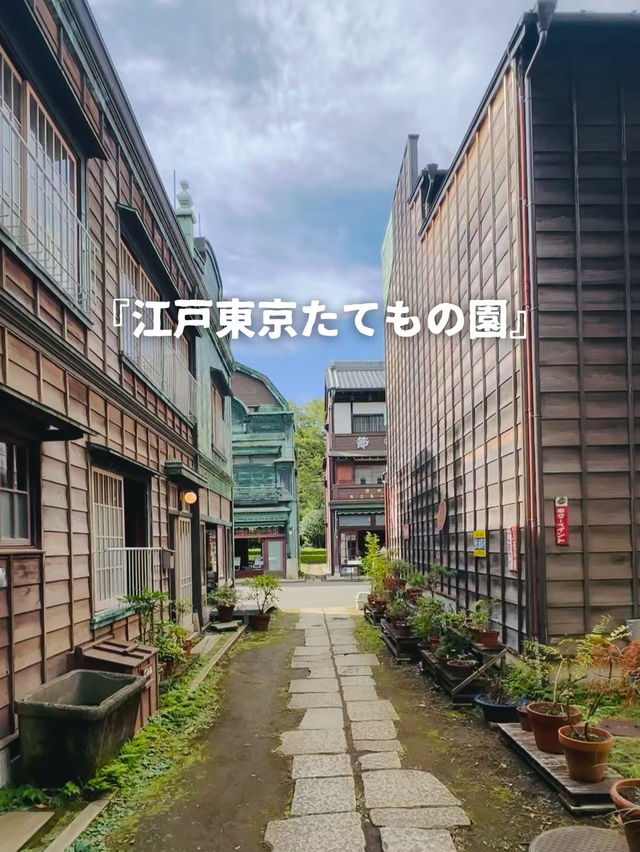 【小金井】ジブリの世界に没入🎥