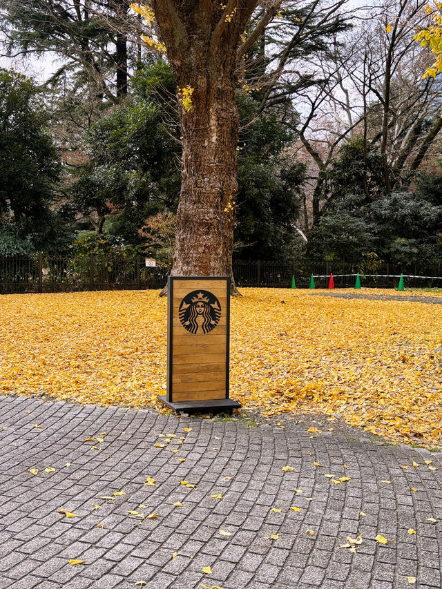 Strolling in Shinjuku Gyoen National Garden 🌿