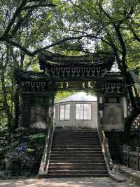 🌿 ตามหาความเรียบง่ายที่ Yuyao