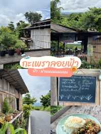 กะเพราหลักสิบ กับวิวหลักล้าน ที่กะเพราลอยฟ้า น่าน