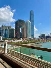 The Gilded Port: Where Commerce Meets the Camera 