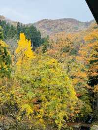 四季を感じながらくつろげる場所や地元産のものがたくさん！