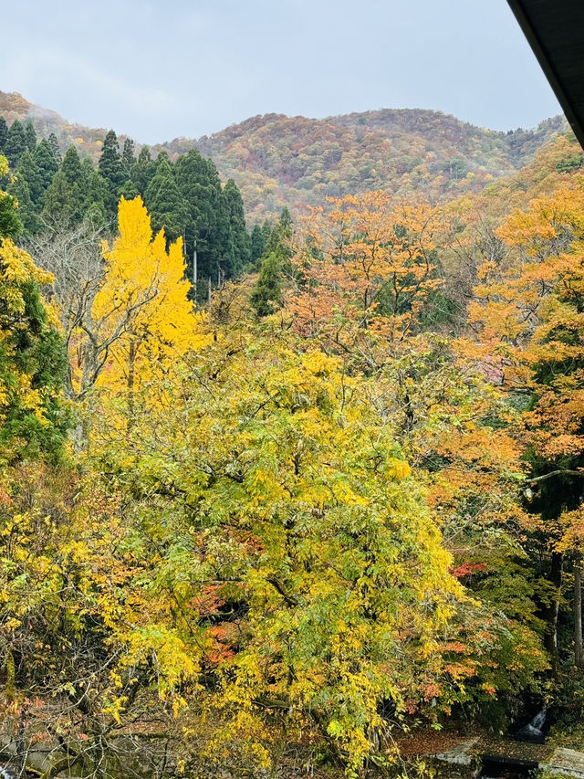四季を感じながらくつろげる場所や地元産のものがたくさん！