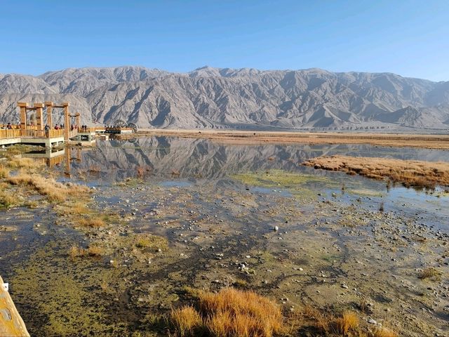 The Golden Grassland of the Pamir: A Golden Scroll on the Plateau