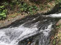 Waitavala Natural Rock Waterslide