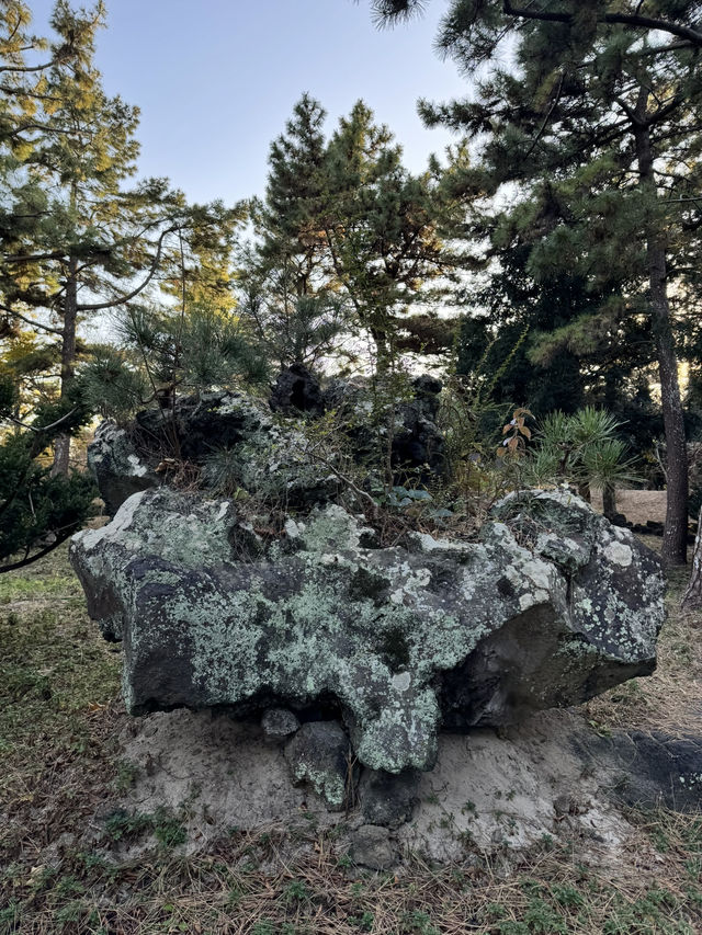 Hallim Park — одно из самых неожиданных мест на Чеджу