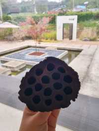 고즈넉한 분위기에, 카페 사리당